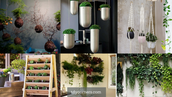 TDy Corners 5 Unique Ideas Of Making Vertical Garden For Your House