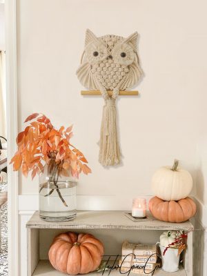 TDy Corners Fall Decor with Farmhouse Style by Macrame Owl Hanging
