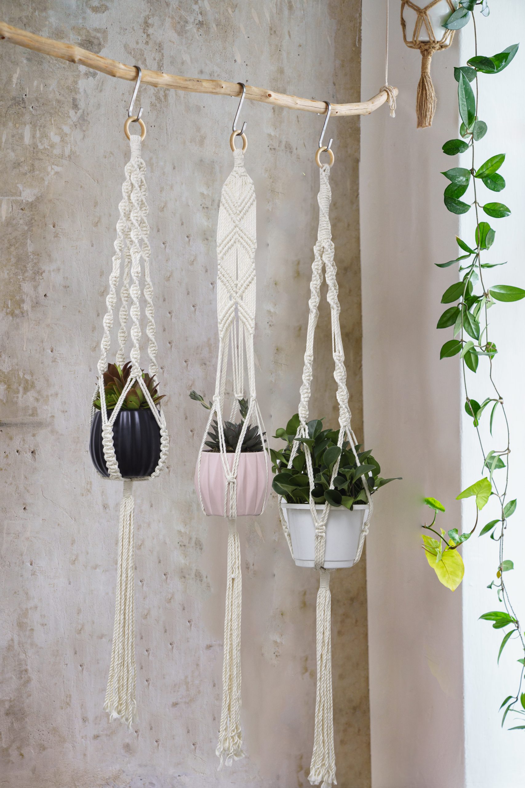https://tdycorners.com/wp-content/uploads/TDy-Corners-Set-Of-5-Macrame-Plant-Hangers-With-5-Hooks-For-Gift-Home-Decoration-Vertical-Garden-With-Boho-Style-100-Cotton-Ivory-white-45-Inches-In-Length-5-Styles-6-scaled.jpg